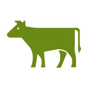 EBRI events to help West Midlands farm-business and landowners exploit bioenergy opportunities