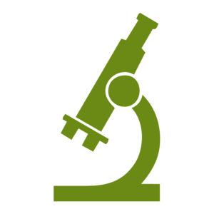 Get funded for a bioenergy research, training or knowledge transfer experience at EBRI