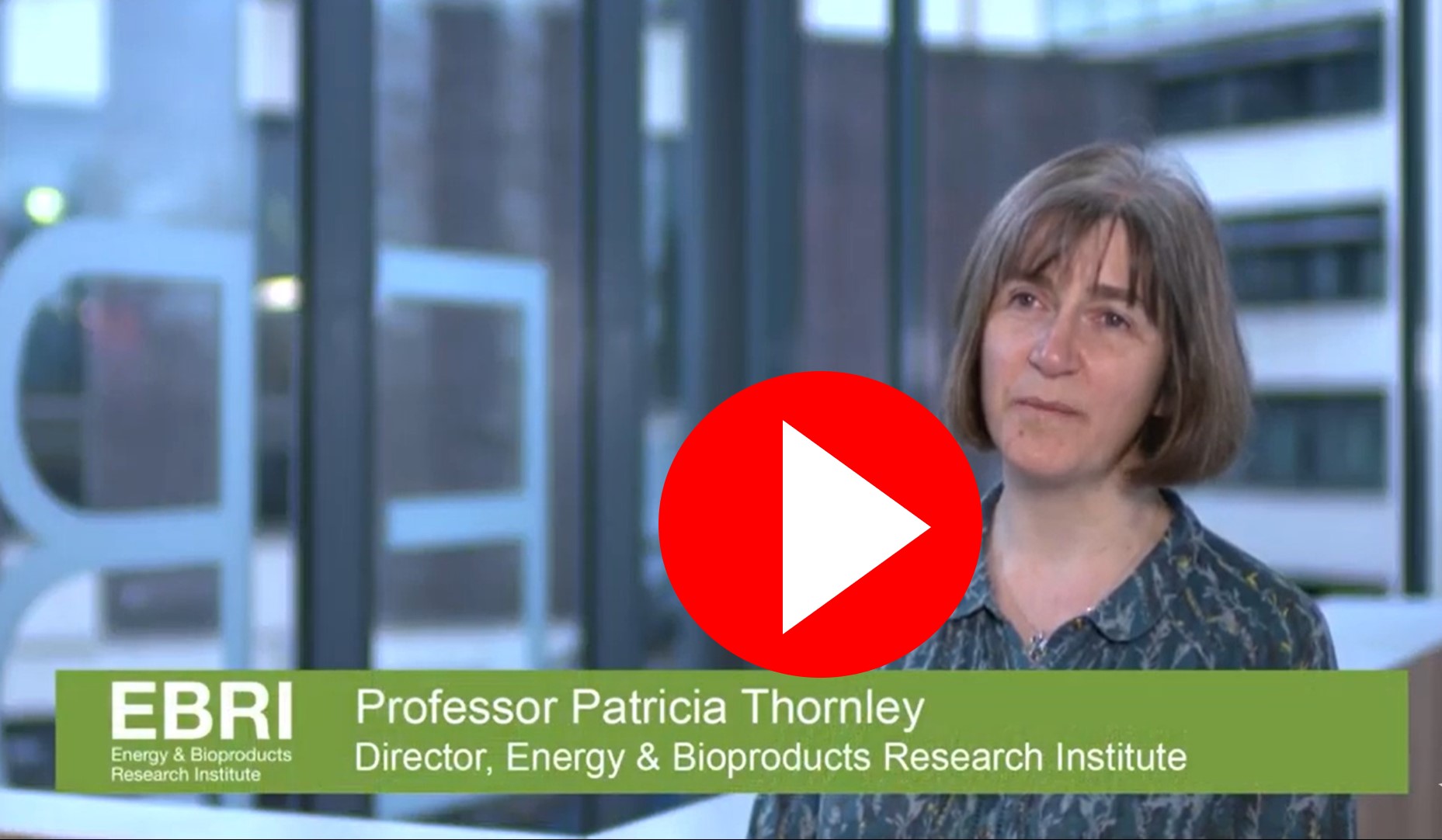 Image of Patricia Thornley, Director of EBRI