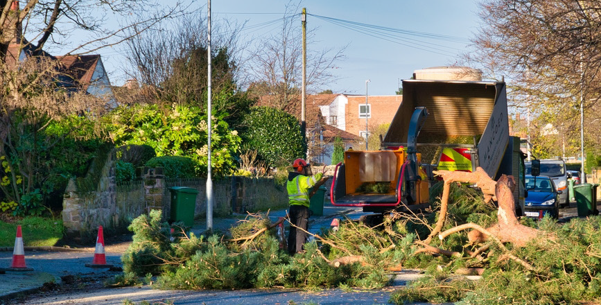 Tree cuttings being removed